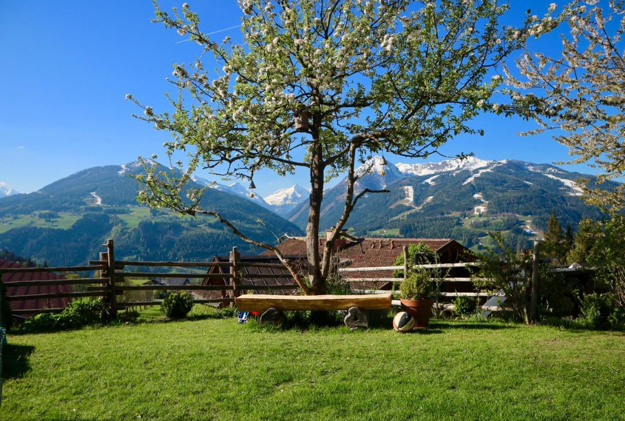 Appartements Rettensteiner Schladming Exterior photo